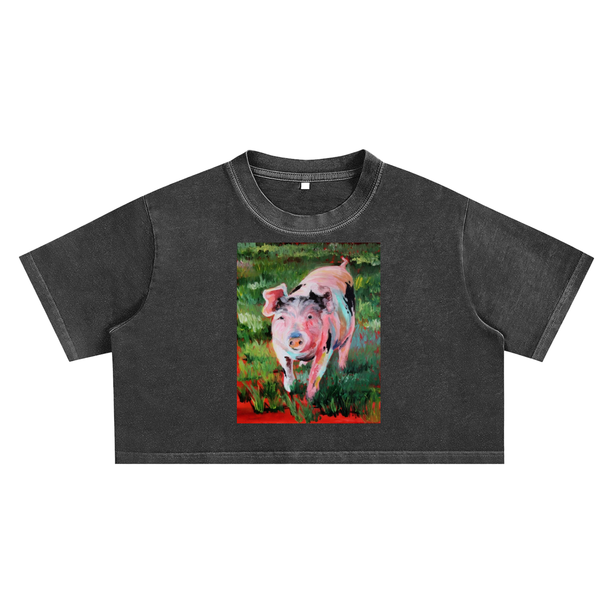 shirt,tapstitch,maria-popescu,shirt-pig,style-crop,layout-front