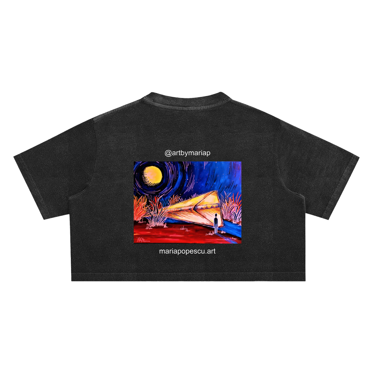 shirt,tapstitch,maria-popescu,shirt-paper-airplane,style-crop,layout-back,ink-light