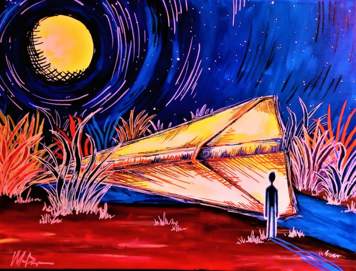 Paper Airplane by Maria Popescu