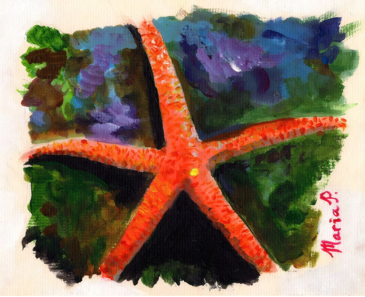 Starfish by Maria Popescu